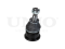 Front lower ball joint thumb