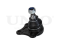 Front lower right ball joint thumb