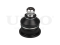 Front lower ball joint thumb