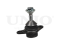 Front lower ball joint thumb
