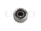 Timing belt idler pulley thumb