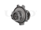 Water pump thumb