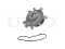 Water pump thumb