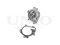 Water pump thumb