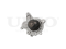 Water pump thumb