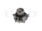 Water pump thumb