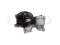 Water pump thumb