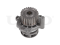 Water pump thumb