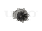 Water pump thumb